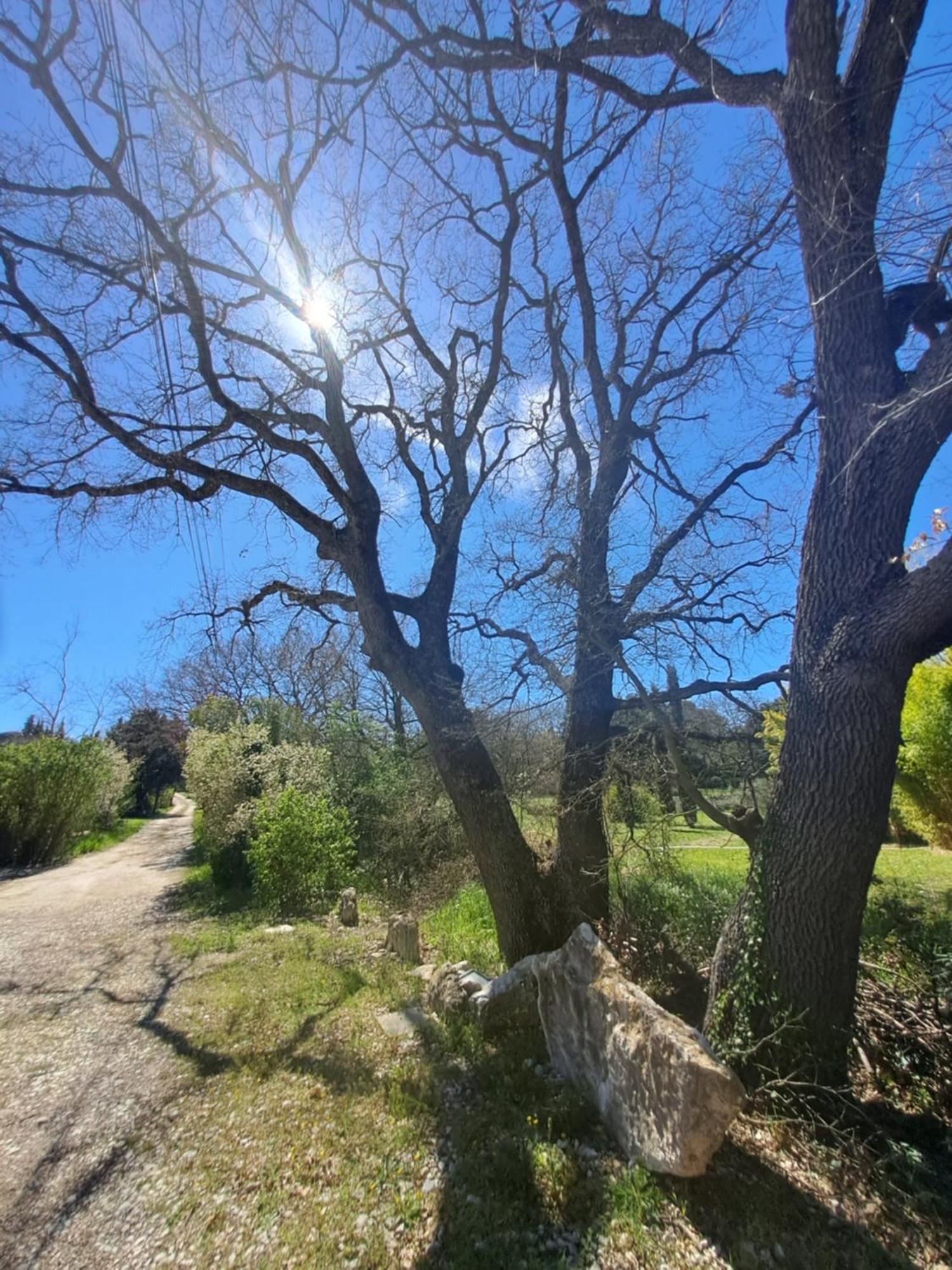 T2 Au Naturel Aix-En-Provence Exterior photo